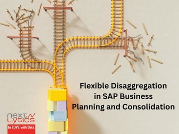 Flexible Disaggregation in SAP Business Planning and Consolidation