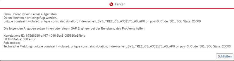 003-fehlermeldung-schluesselgleicher-datensatz